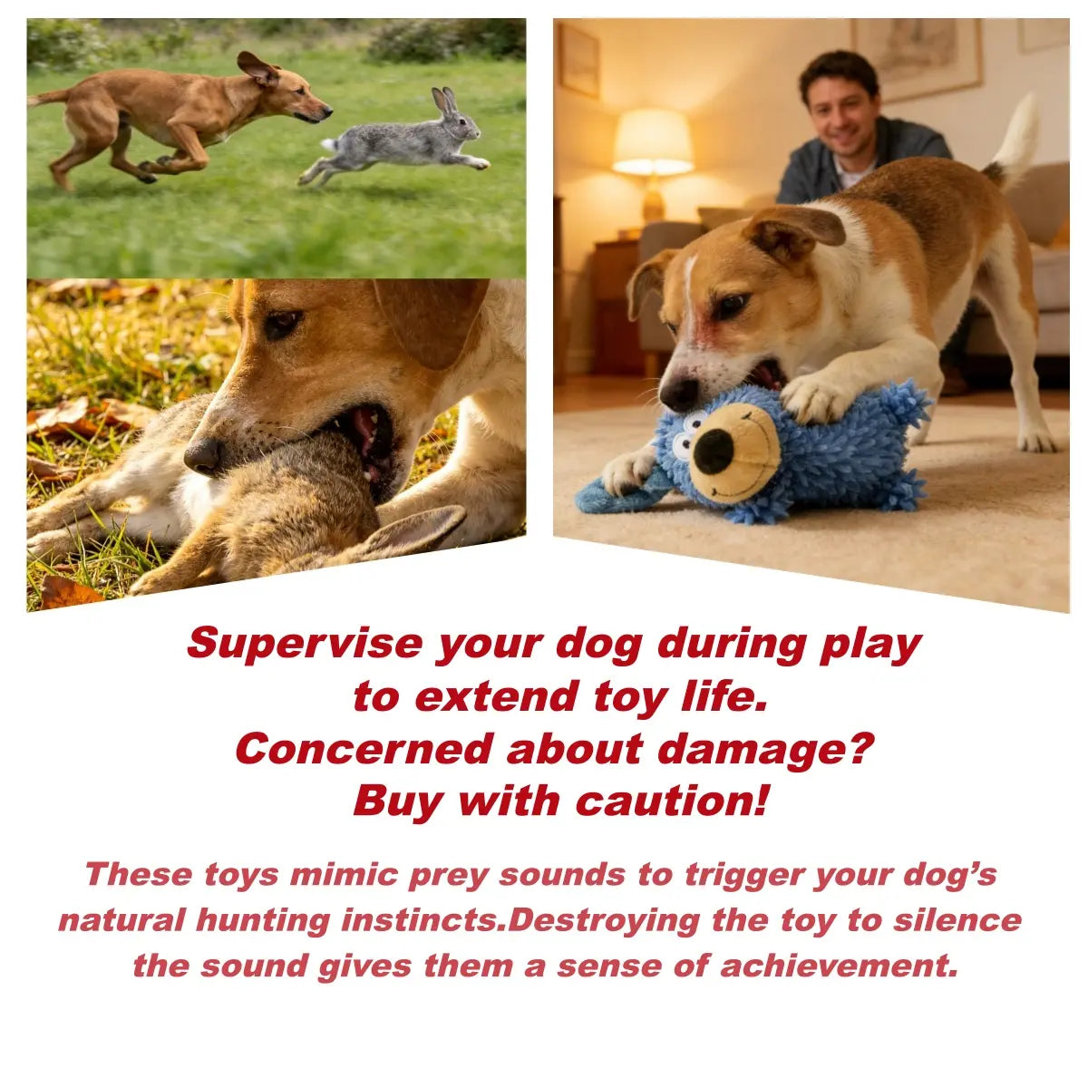 Interactive Squeaky Plush Dog Toys but Not Chew Toys, Suitable for Throwing and Catching Games and Interactive Play between Owners and Dogs, Chenille Material Reinforced Seams Only for Light Chewers Small/Medium Breeds, Supervise Play to Extend Toy Life