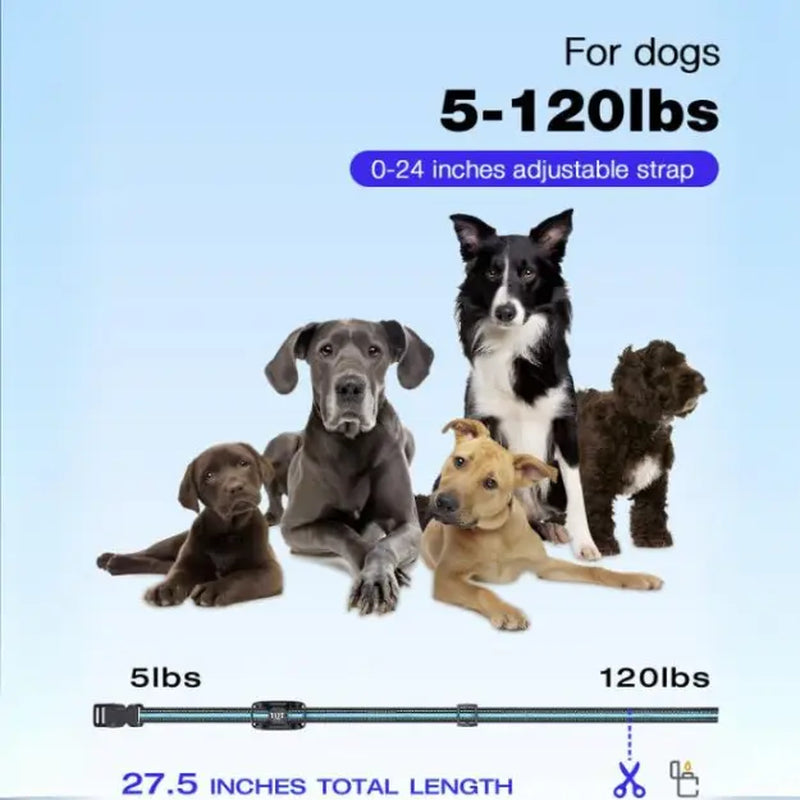 TQT Dog Training Collar 3300FT Range with IP67 Waterproof, Adjustable Beep, Vibration & Safe Shock Modes, Remote Control, Rechargeable E-Collar